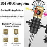 ALPOWL Podcast Equipment Bundle, Audio Interface with All in One Live Sound Card and Condenser Microphone, Perfect for Recording, Broadcasting, Live Streaming (Gold)